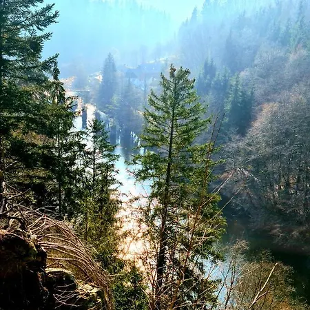 Schone Panorama Appartments Im Naturpark Bayrischer Wald Nahe Passau * Waldkirchen