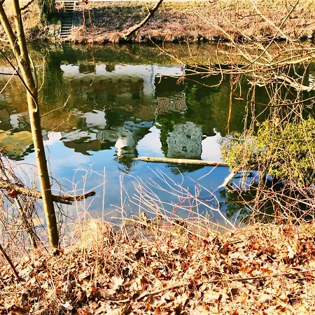 Schone Panorama Appartments Im Naturpark Bayrischer Wald Nahe Passau Apartment Waldkirchen
