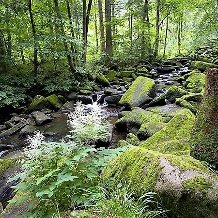 Schone Panorama Appartments Im Naturpark Bayrischer Wald Nahe Passau Waldkirchen