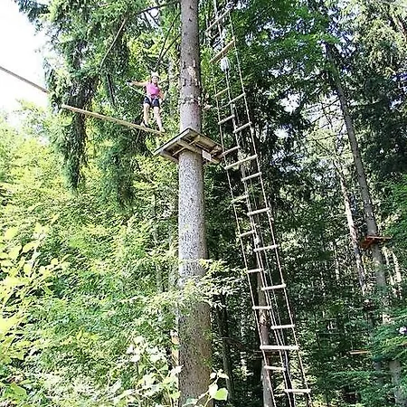 Schone Panorama Appartments Im Naturpark Bayrischer Wald Nahe Passau Apartment Waldkirchen